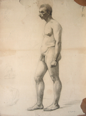 Nu masculino de pé (academia)